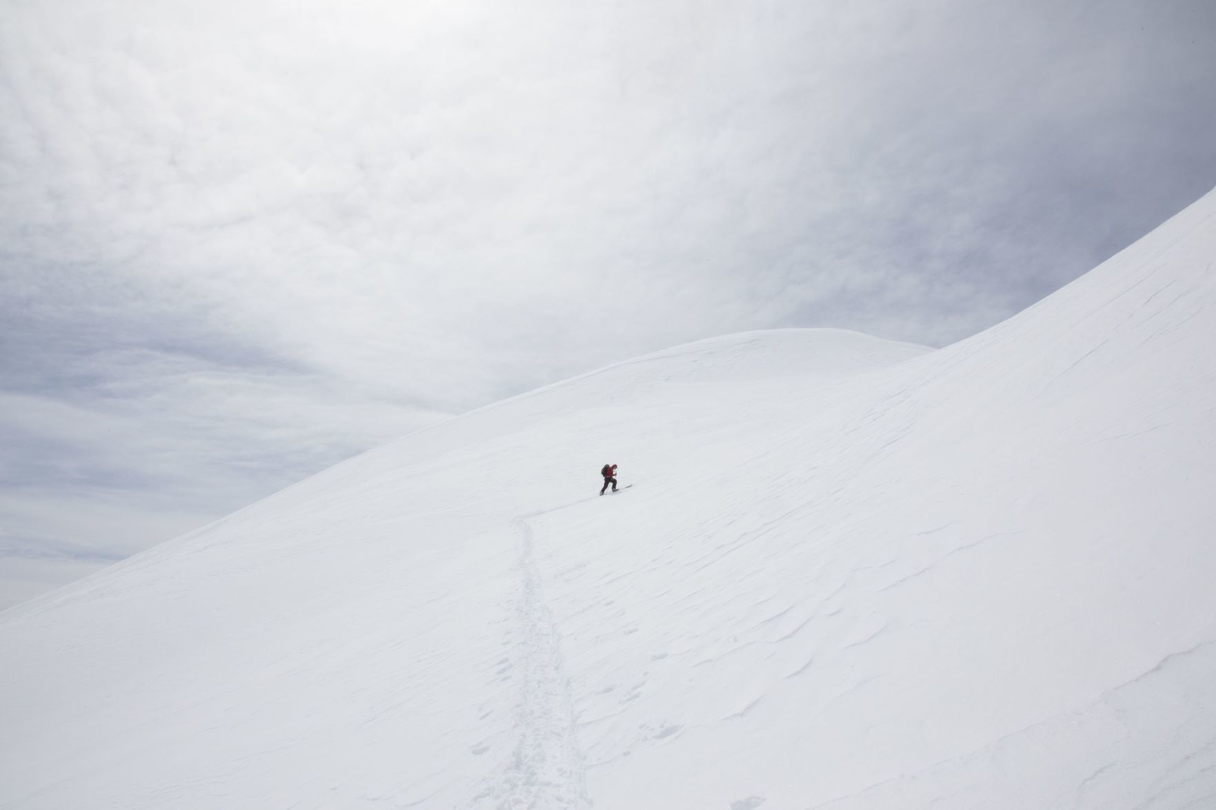 Lone tracks